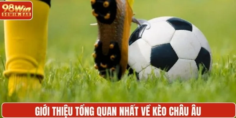 Giới thiệu tổng quan nhất về kèo châu Âu